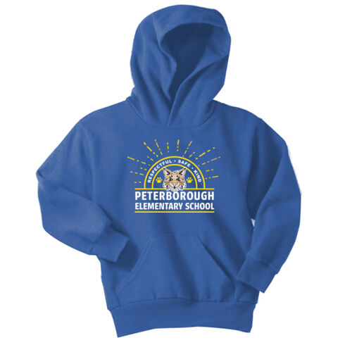 Youth Pullover Hoodie (Blue) Thumbnail